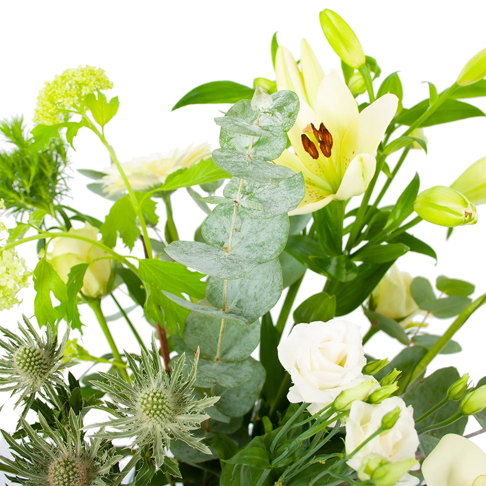 Boeket Wit Gebaar Groot 3 Boeket Wit Gebaar Groot - Afbeelding 3