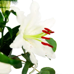 Boeket Witte Winter Middel -Bloeiplek Verkoopwinkel boeket witte winter boeketten 4 1