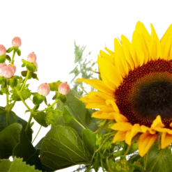 Boeket Zonnestraal Groot -Bloeiplek Verkoopwinkel boeket zonnestraal boeketten 4 3