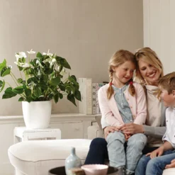 Bloempot Elho Brussels Rond 30cm - Wit -Bloeiplek Verkoopwinkel brussels rond 30cm bloempot wit 7 20