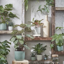 Bloempot Daan - D19 X H17.5cm - Wit 5 Bloempot Daan - D19 X H17.5cm - Wit -Bloeiplek Verkoopwinkel daan pot rond wit h17 5xd19cm bloempot 7 7