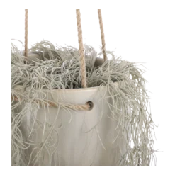 Hangpot Resa - D18,5 X H17cm - Lichtgrijs -Bloeiplek Verkoopwinkel hangpot resa d18 5 x h17cm lichtgrijs hangpot 3 1