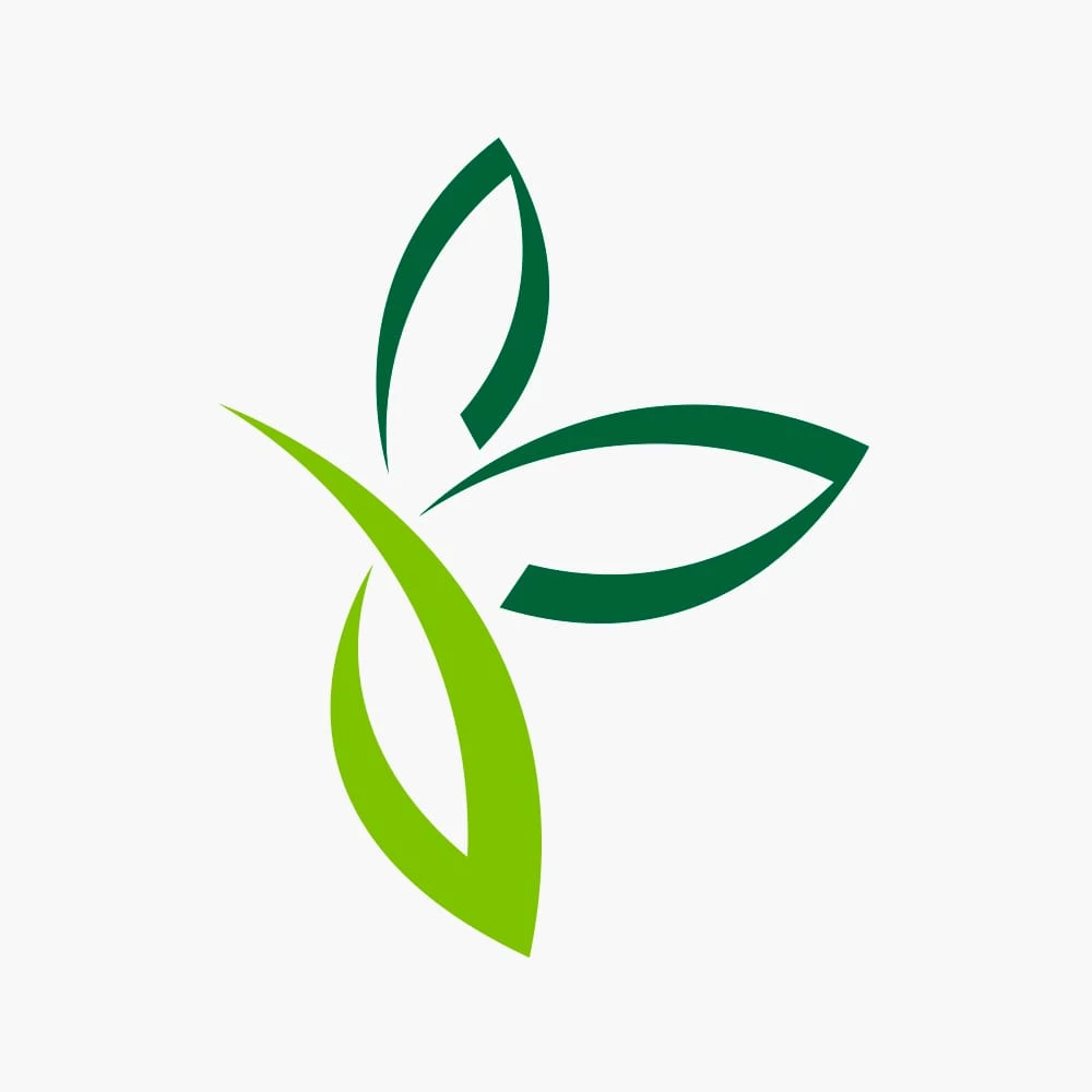 Kentiapalm - Howea Forsteriana - P17 H70 - Kamerplant 2 Kentiapalm - Howea Forsteriana - P17 H70 - Kamerplant - Afbeelding 2