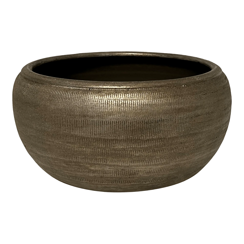 Plantenschaal Phoenix - D29 X H13cm - Zilver 1 Plantenschaal Phoenix - D29 X H13cm - Zilver