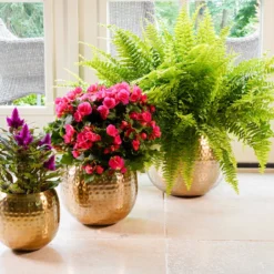 Bloempot Kody Metaal - D17 X H15cm - Goud 5 Bloempot Kody Metaal - D17 X H15cm - Goud -Bloeiplek Verkoopwinkel pot kody gold metaal d17 h15 bloempot 7 10