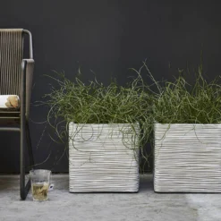 Capi Plantenbak Vierkant Nature Rib NL - L30 X B30 X H30cm - Ivoor 5 Capi Plantenbak Vierkant Nature Rib NL - L30 X B30 X H30cm - Ivoor -Bloeiplek Verkoopwinkel pot vierkant rib nl 30x30x30 ivoor plantenbak 7 8