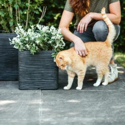 Capi Plantenbak Vierkant Nature Rib NL - L30 X B30 X H30cm - Zwart -Bloeiplek Verkoopwinkel pot vierkant rib nl 30x30x30 zwart plantenbak 7 8