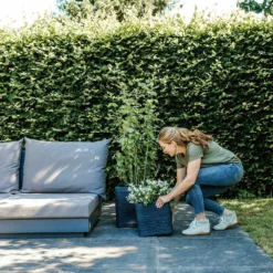 Capi Plantenbak Vierkant Nature Rib NL - L40 X B40 X H40cm - Zwart 5 Capi Plantenbak Vierkant Nature Rib NL - L40 X B40 X H40cm - Zwart -Bloeiplek Verkoopwinkel pot vierkant rib nl 40x40x40 zwart plantenbak 7 8