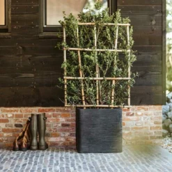 Capi Plantenbak Vierkant Nature Rib NL - L50 X B50 X H50cm - Zwart -Bloeiplek Verkoopwinkel pot vierkant rib nl 50x50x50 zwart plantenbak 7 8