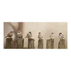 Tuinposter Musjes Op Palen - 110x45cm