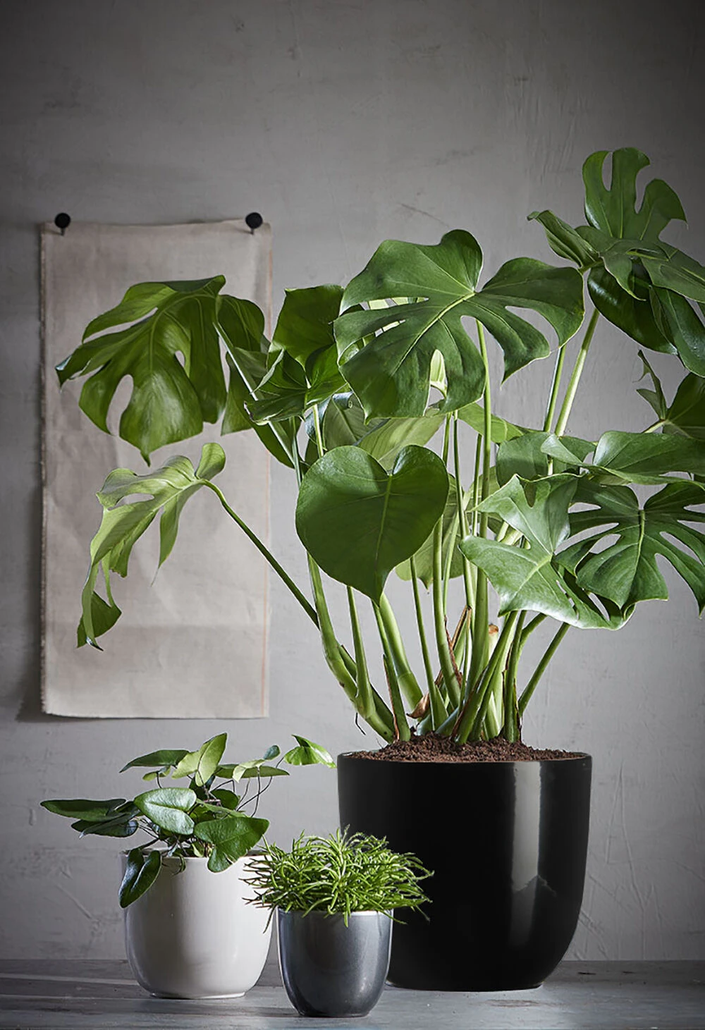 Bloempot Tusca - D39 X H34.5cm - Antraciet 2 Bloempot Tusca - D39 X H34.5cm - Antraciet - Afbeelding 2