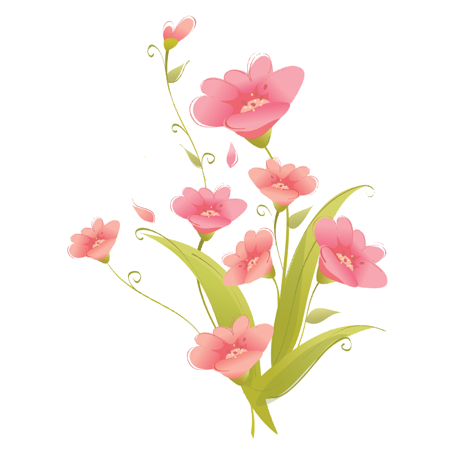 Bloeiplek Verkoopwinkel