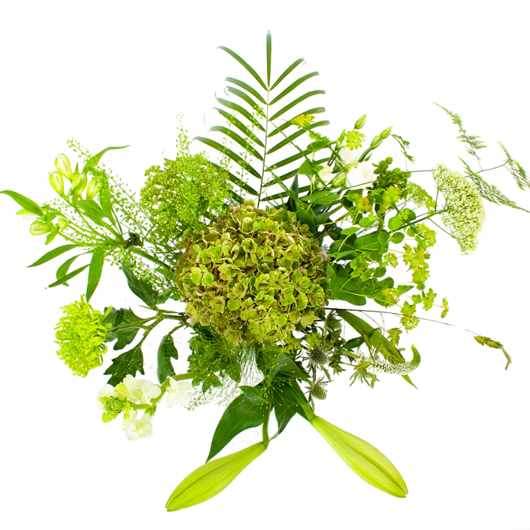 Bloeiplek Verkoopwinkel -Bloeiplek Verkoopwinkel boeket puur natuur boeketten 2 1 1 768x768 1