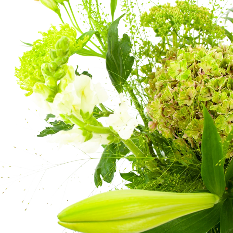 Bloeiplek Verkoopwinkel -Bloeiplek Verkoopwinkel boeket puur natuur boeketten 3 1 1 768x768 1