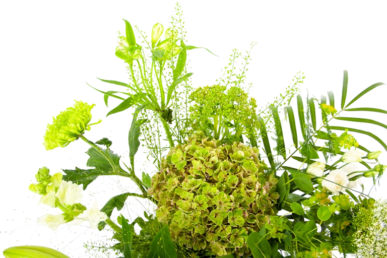 Bloeiplek Verkoopwinkel -Bloeiplek Verkoopwinkel boeket puur natuur boeketten 4 1 1 768x512 1